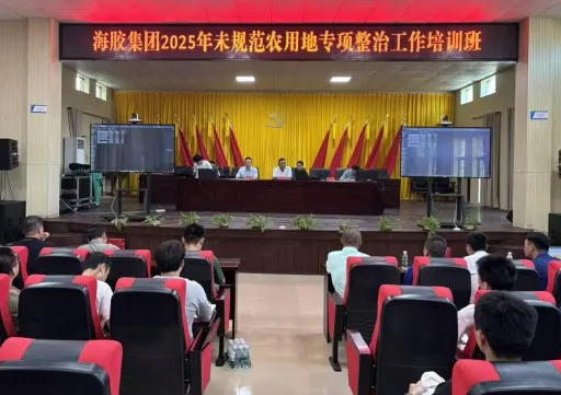 海南橡膠舉辦2025年未規(guī)范農(nóng)用地專(zhuān)項(xiàng)整治工作培訓(xùn)班